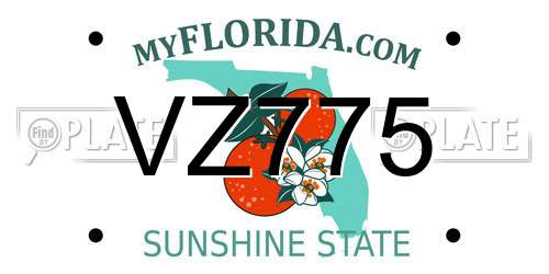 VZ775 Florida License Plate