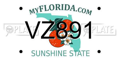 VZ891 Florida License Plate