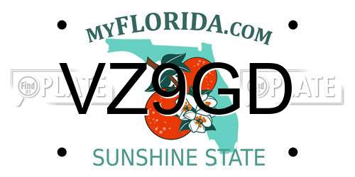 VZ9GD Florida License Plate