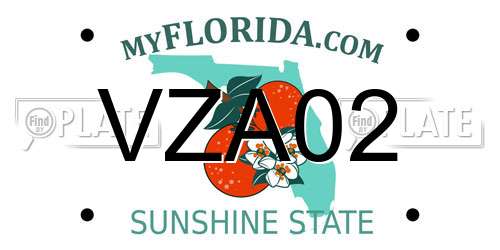 VZA02 Florida License Plate
