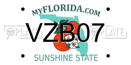 VZB07 Florida License Plate