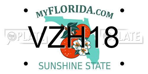 VZH18 Florida License Plate