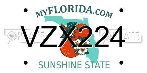VZX224 Florida License Plate