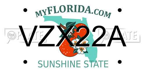 VZX22A Florida License Plate