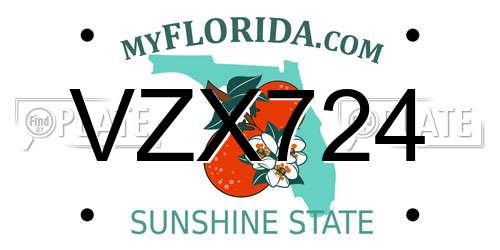 VZX724 Florida License Plate