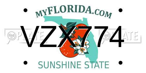 VZX774 Florida License Plate