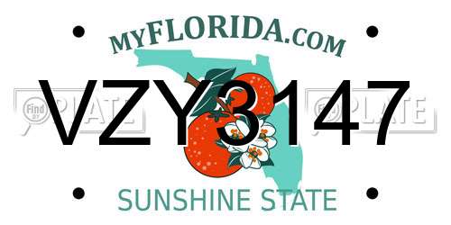 VZY3147 Florida License Plate