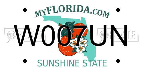 W007UN Florida License Plate