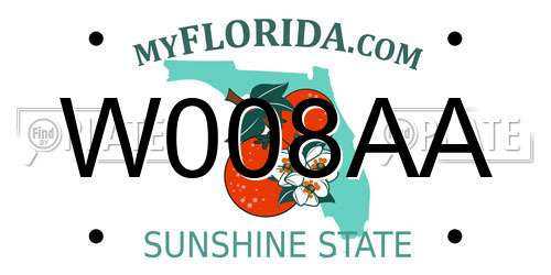 W008AA Florida License Plate