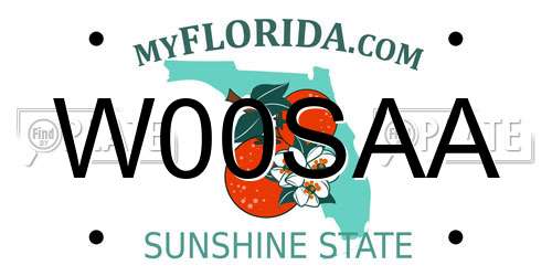 W00SAA Florida License Plate