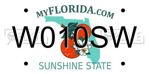 W010SW Florida License Plate