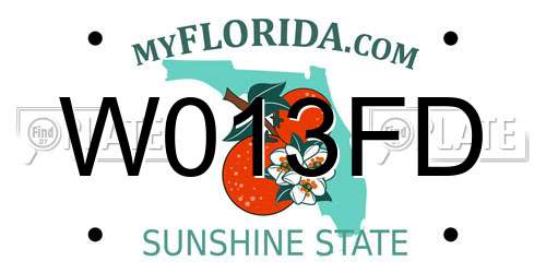 W013FD Florida License Plate