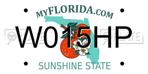 W015HP Florida License Plate