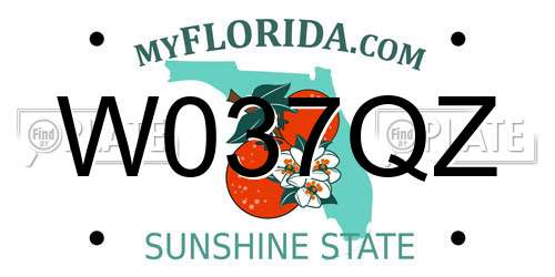W037QZ Florida License Plate