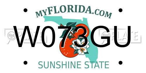 W073GU Florida License Plate