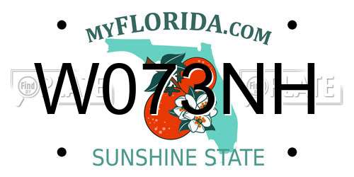W073NH Florida License Plate