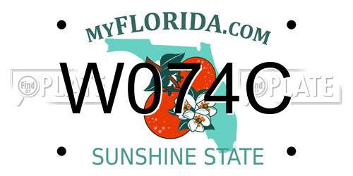 W074C Florida License Plate