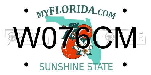 W076CM Florida License Plate