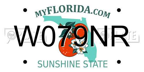 W079NR Florida License Plate