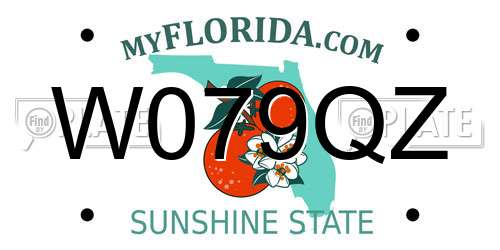 W079QZ Florida License Plate