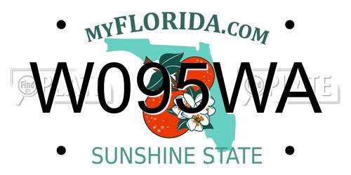 W095WA Florida License Plate
