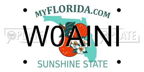 W0AINI Florida License Plate