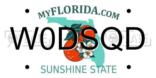 W0DSQD Florida License Plate