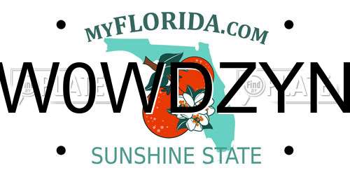 W0WDZYN Florida License Plate