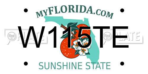 W115TE Florida License Plate