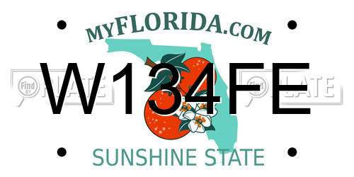 W134FE Florida License Plate