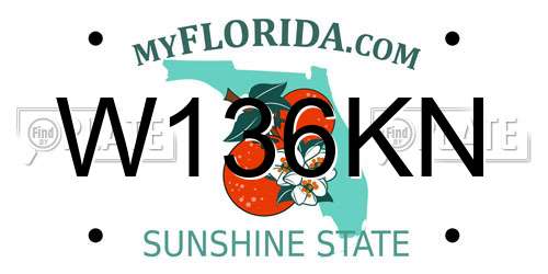 W136KN Florida License Plate