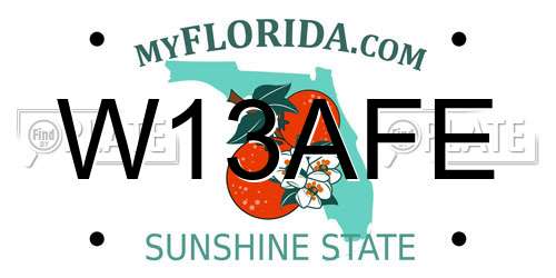 W13AFE Florida License Plate