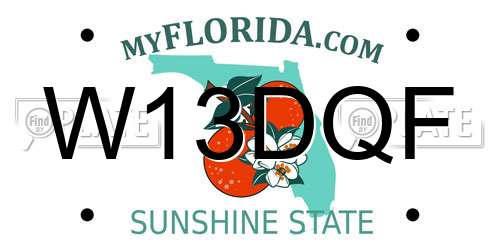 W13DQF Florida License Plate