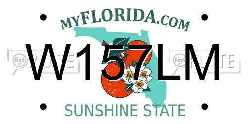 W157LM Florida License Plate