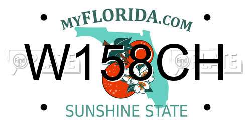 W158CH Florida License Plate