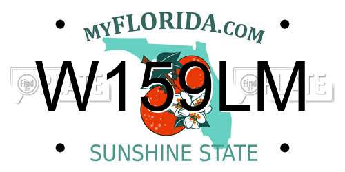 W159LM Florida License Plate