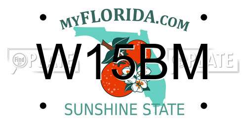 W15BM Florida License Plate