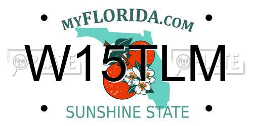 W15TLM Florida License Plate