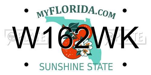 W162WK Florida License Plate