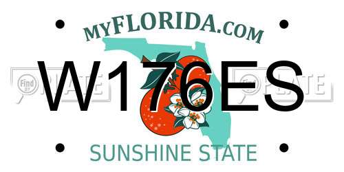 W176ES Florida License Plate