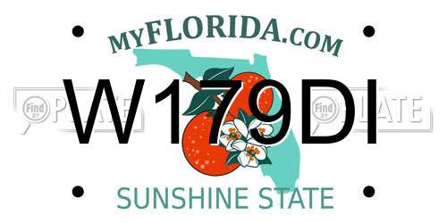 W179DI Florida License Plate