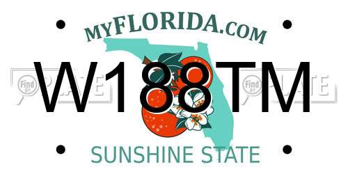 W188TM Florida License Plate
