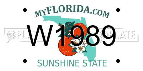 W1989 Florida License Plate