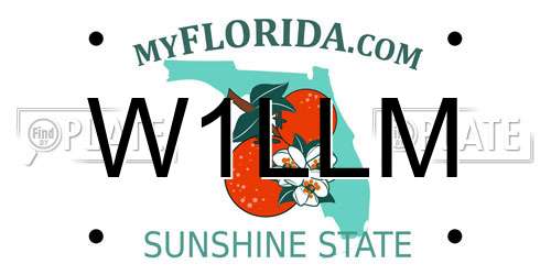 W1LLM Florida License Plate