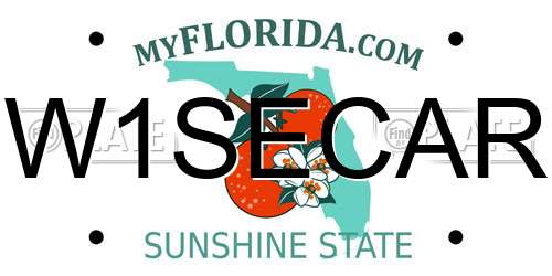 W1SECAR Florida License Plate