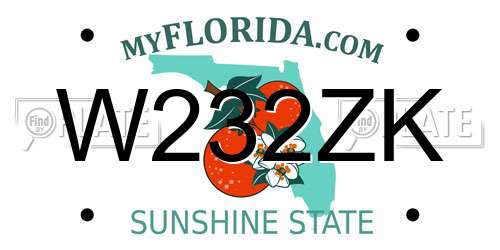 W232ZK Florida License Plate