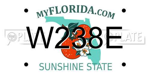 W238E Florida License Plate