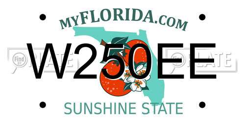 W250EE Florida License Plate