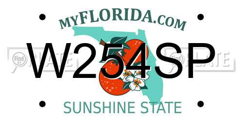 W254SP Florida License Plate