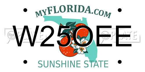 W25OEE Florida License Plate